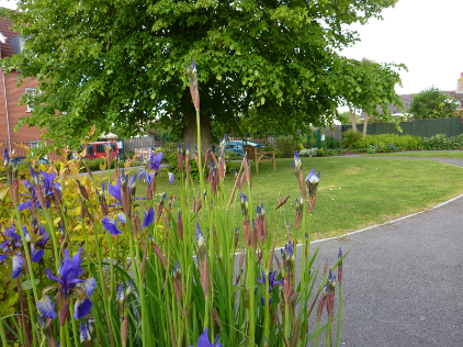 Aspen Court Care Home