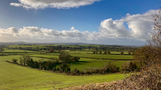 Aspen Court Care Home in Taunton